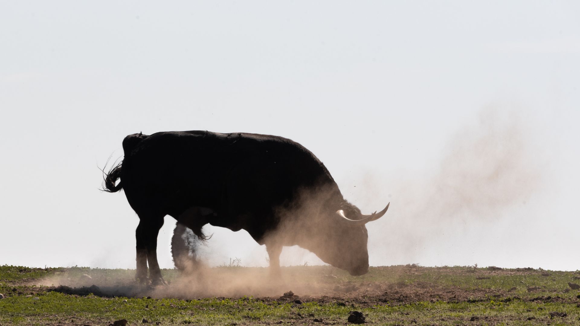 Diseño sin título (83)